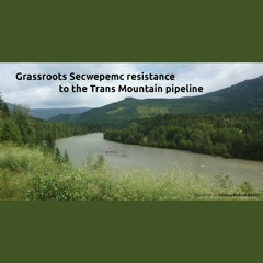Grassroots Secwépemc resistance to the Trans Mountain pipeline