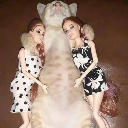 not 3, not 2 by autumn! [sped up]