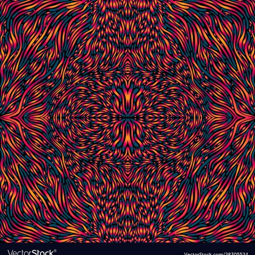 KAM - TARANTULA