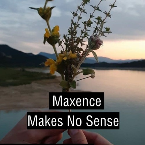 Maxence makes no sense (2023-03-17)