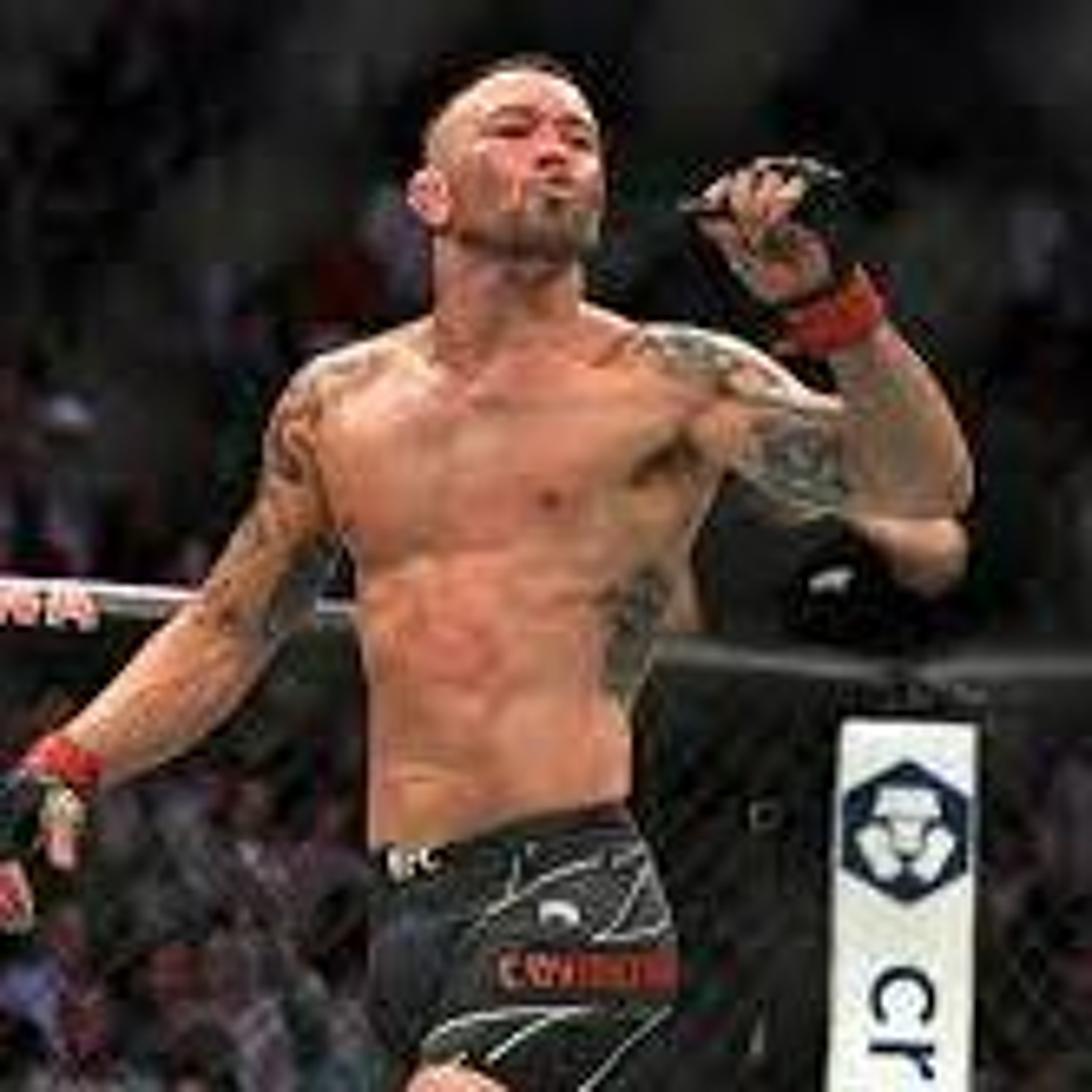 HTHB Shoulder Strikes MMA Podcast Ep. 42: "Chaos" with Matt McSweeney and Ty Capone thumbnail