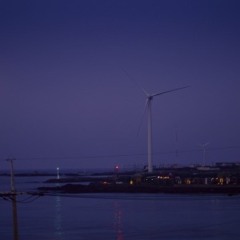 제주도에서의 어느 날           CC by 신동윤
