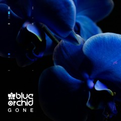 Blue Orchid - Remember (Viewer Remix) (FREE Download)