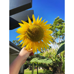 A TASTE OF THIS AND THAT! 🙂‍↔️