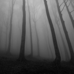 FREE | Drop to Drop Mix