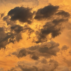 Come Find Me (cinematic)