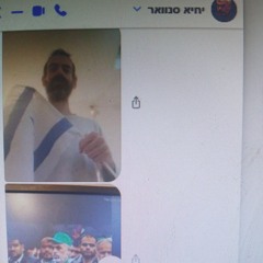 ציפור בודד על גג אינסרומנטלי