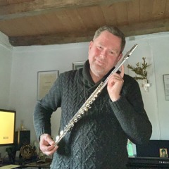 « Concerto N°2 in D Major » of W.A Mozart (my recording on Thursday, November 9, 2023)