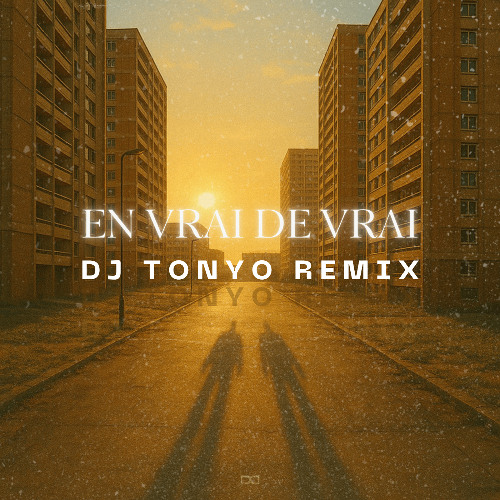 EN VRAI DE VRAI - DJADJA & DINAZ (DJ TONYO REMIX)