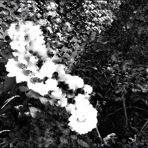 experimental