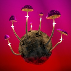 Planet of Perception