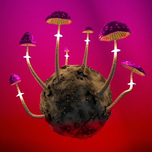 Planet of Perception