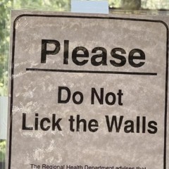BOGE - WALL TASTING