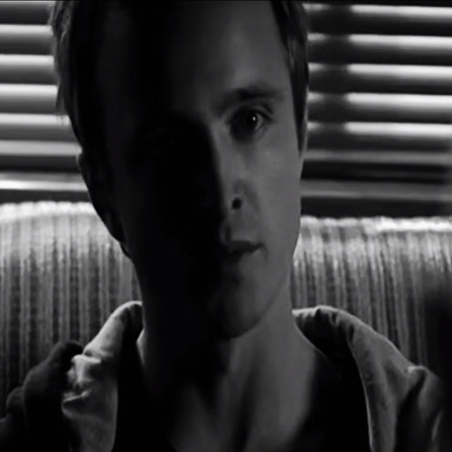 self acceptance. (jesse pinkman x salvia palth)