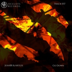 JoshBR & Arteze - Go Down (Official Audio)