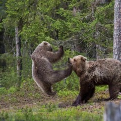 Revv&Gear Gods 200k Contest Entry