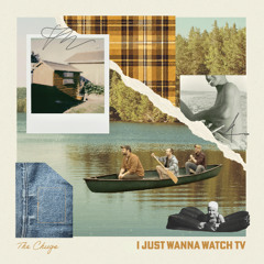 I Just Wanna Watch T.V.