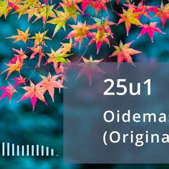 25u1 - Oidemase (original mix)