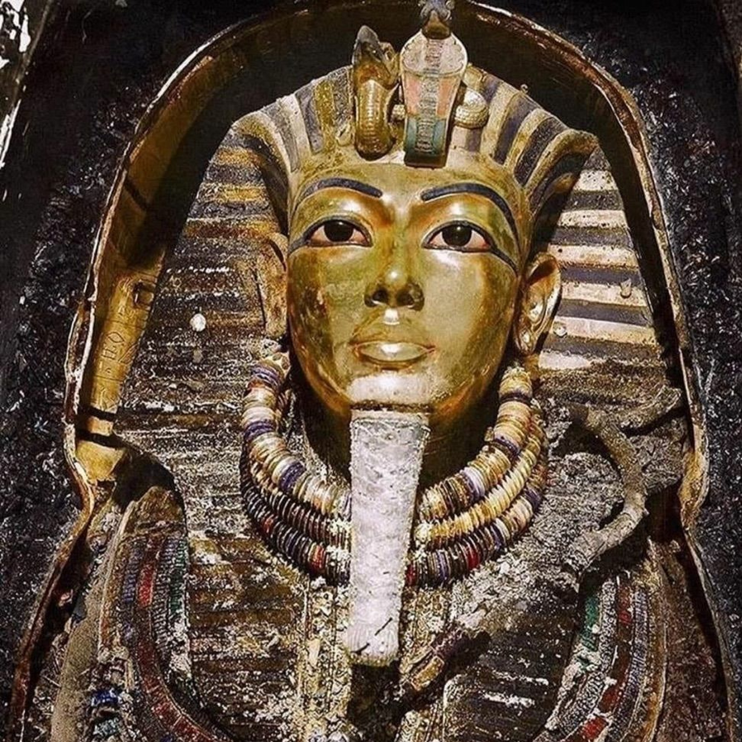 Lineage Of Tutankhamun - Aidan Dodson