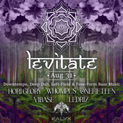 Levitate Aug 24 - Openning Set 7pm