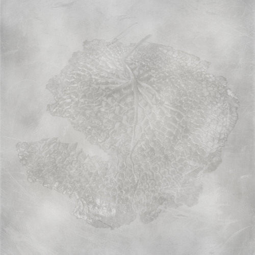 Anima021 - aircode - No! You’ll never get out of sight
