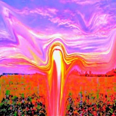 Doves - Ambient Slow FX