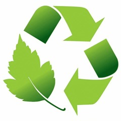 Environmental Management Systems And Their Relevance To Dermatology