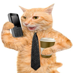 говоритель хуйни #fuckdrugs