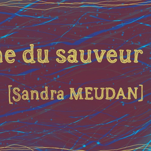 "Le Syndrome du Sauveur" par Sandra MEUDAN