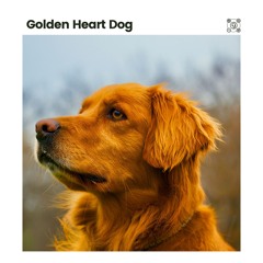 Ultimate Chill Music for Your Dog, Pt. 50