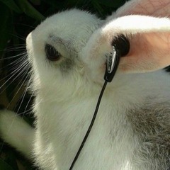 u96 - club bizarre (breakbeat) (big kicks lmfao)