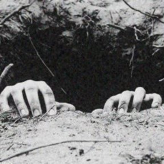 Я вернусь из мертвых