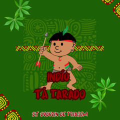 ÍNDIO TÁ TARADO, ÍNDIO TA MALUCO [AFROBEAT] ((DJDUDUZINDETRG))