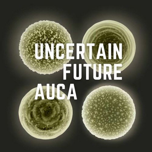 UNCERTAIN FUTURE AUCA