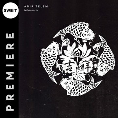 PREMIERE : Amir Telem - Within You (Original MIx)