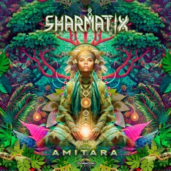 Sharmatix & Pulsar – NanoKontrol [from the album “Amitara”]