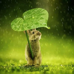 LOVE (By Ben Lukas Boysen - Holotropix D&B Mashup Remix)