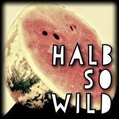 halb so wild (prezident remix)