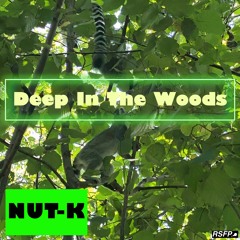 Deep In The Woods (Ft. Ölme)