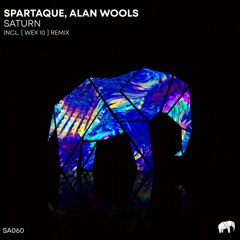 Spartaque, Alan Wools - Saturn (Original Mix)
