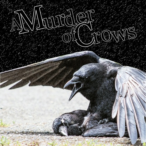 A Murder of Crows