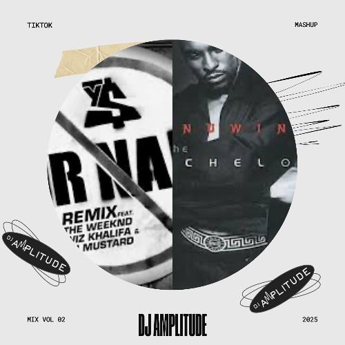 Or Nah X Pony [DJ Amplitude Mashup] *Extra 8 Minutes Due To Copyright*