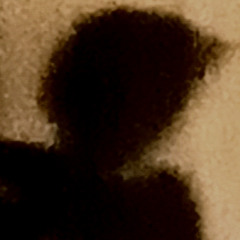 living in the shadows.