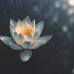 Slimggp ~ Lotus (P. Mygod + Dayumnkid)