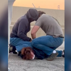 “Agentes fascistas”: Ron Góchez describe la detención de una ciudadana de EE.UU. por agentes de ICE
