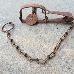 Wet Leg - Too Late Now (Murder Party Soaked Leg Bootleg)