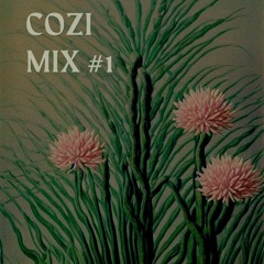 Cozi Mix #1