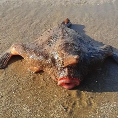 MIXSET | Just Full on Night | VoidChess