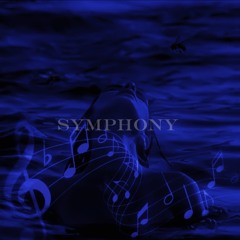 Symphony