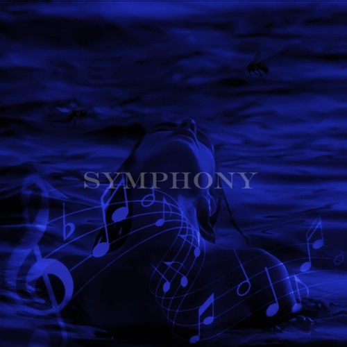 Symphony